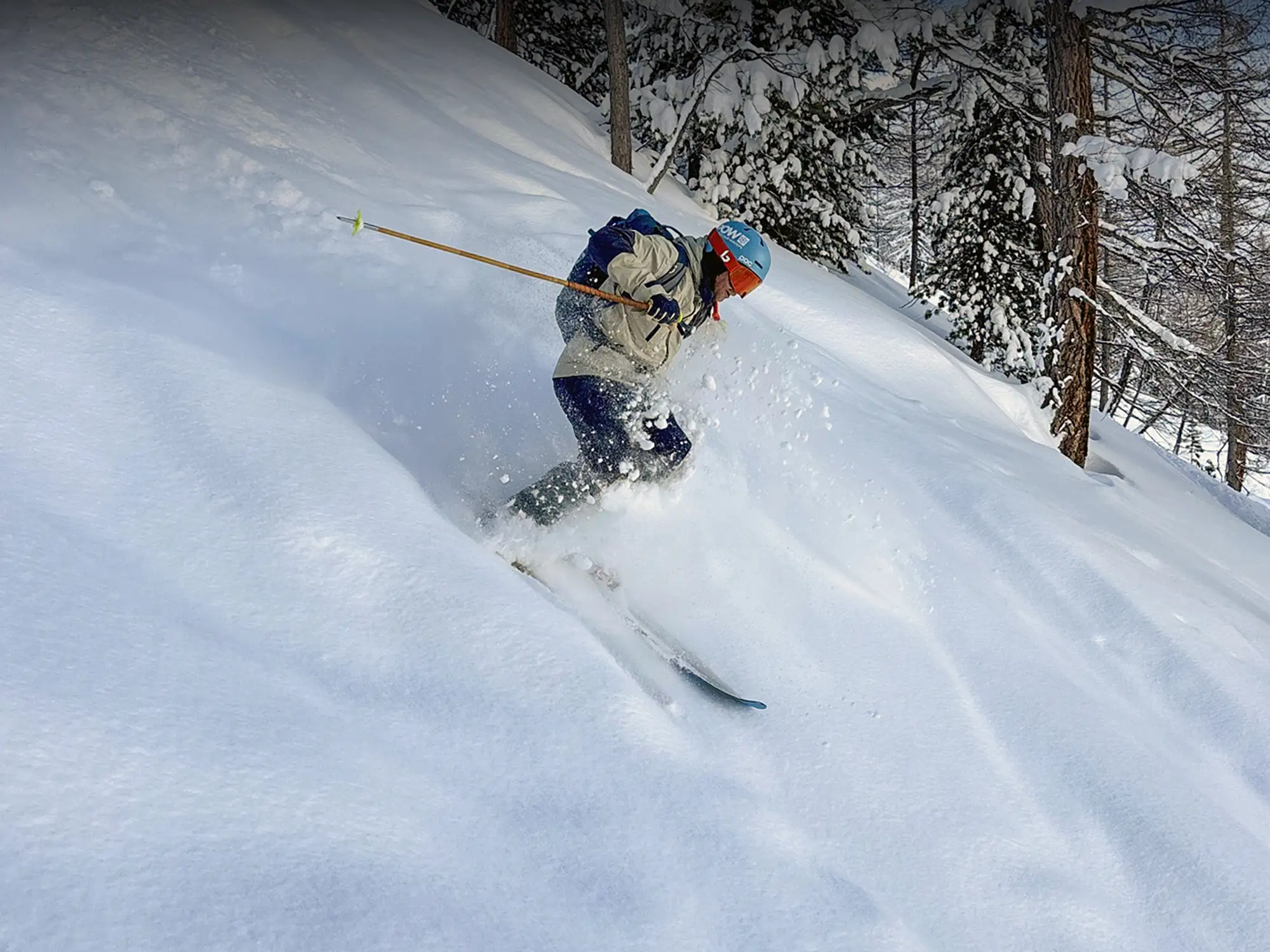 Skidåkare med bambustavar åker lössnö i Formetskogen i Val d'Isère.