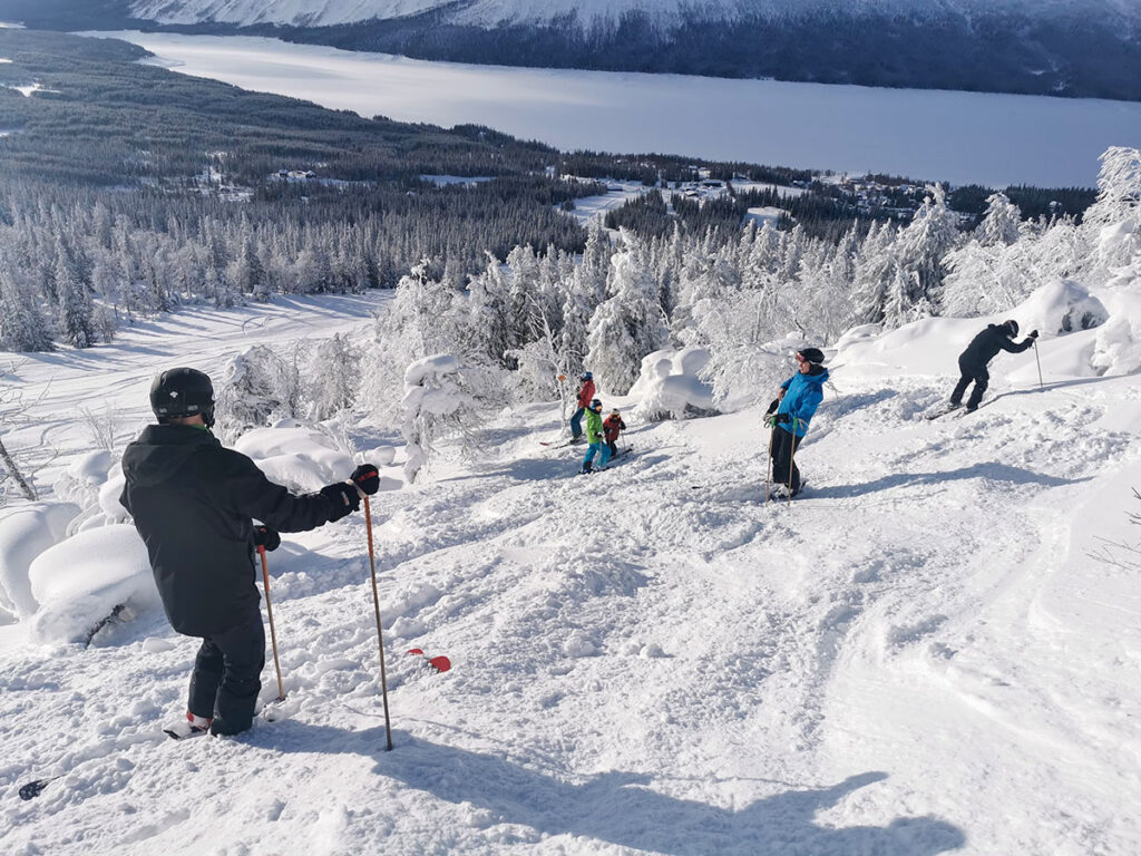 Six out of twelve pairs of bamboo ski poles in Borgafjäll. The bamboo maffia was often in majority in Borga.