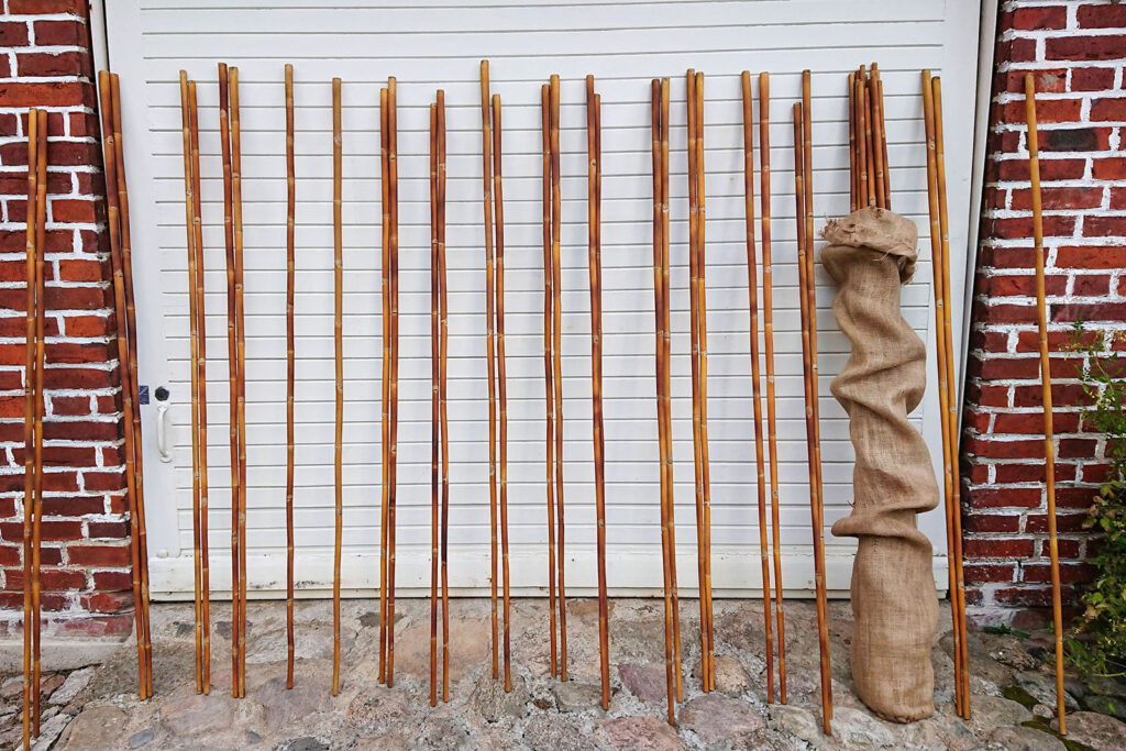 Sorted Calcutta bamboo paired and lined up along a stone wall.