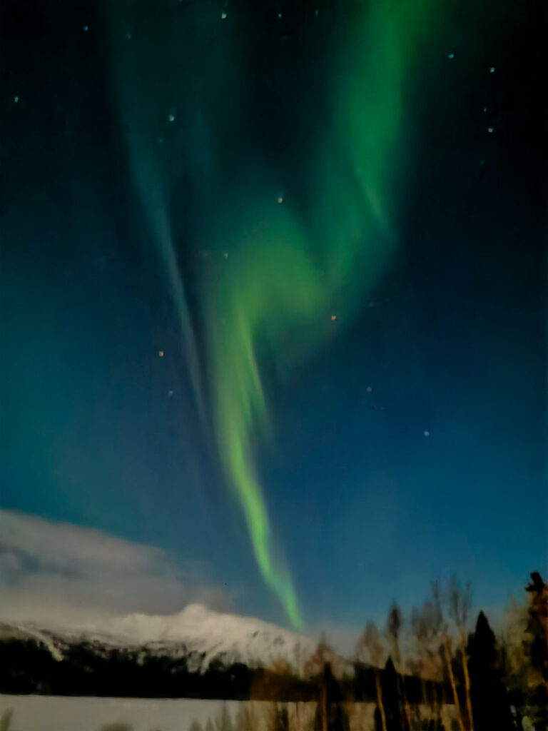 Northern lights may have nothing to do with bamboo ski poles, but it's always nice to round off a good day on the mountain with these beautiful green lights.