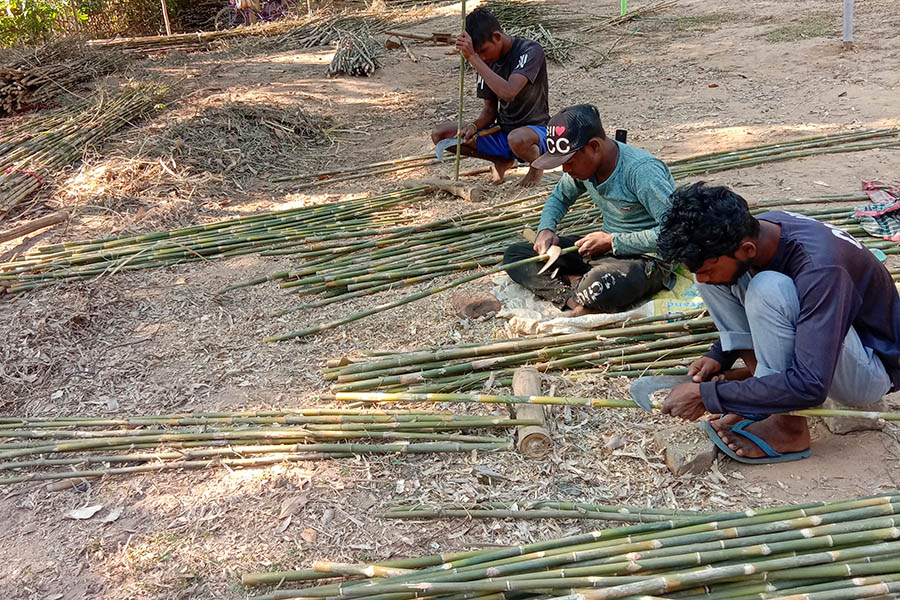 Skickliga hantverkare kontrollerar varenda bambupinne individuellt flera gånger och ser till att bambun är spikrak och kapas vid rätt diameter och längd. Här skärs ledknutarna ner och eventuella sidoskott av.