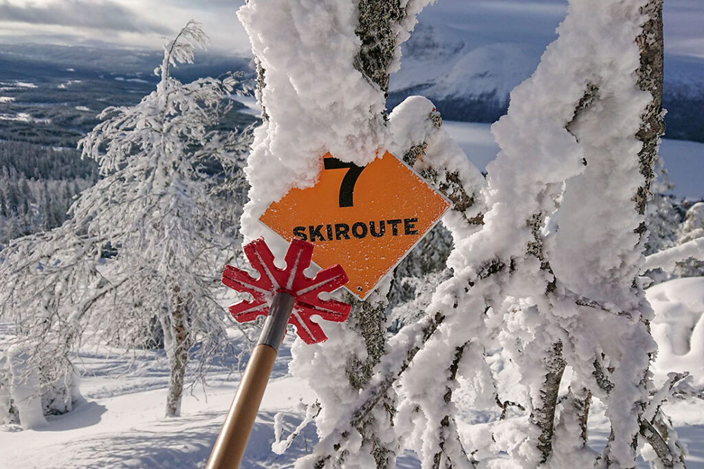 Ski route Vinkeln in Borgafjäll, first through a few birch trees and later through a well trimmed spruce forest.