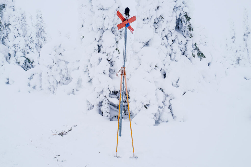 Bamboo ski touring poles with big baskets in a winter landscape with deep snow.