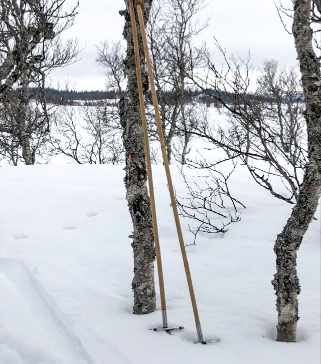 The 147 cm long touring poles with a big basket being tested in Vålådalen.